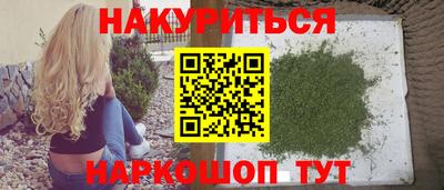 сатива Моздок