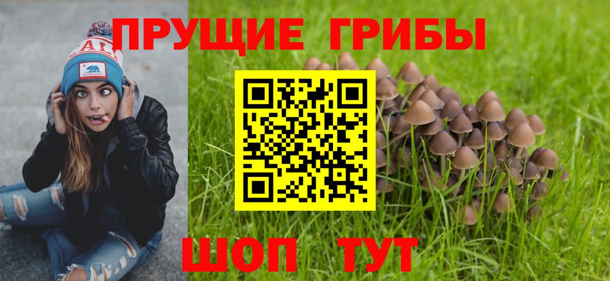 Тосно  Галлюциногенные грибы ЛСД  Вход с VPN 