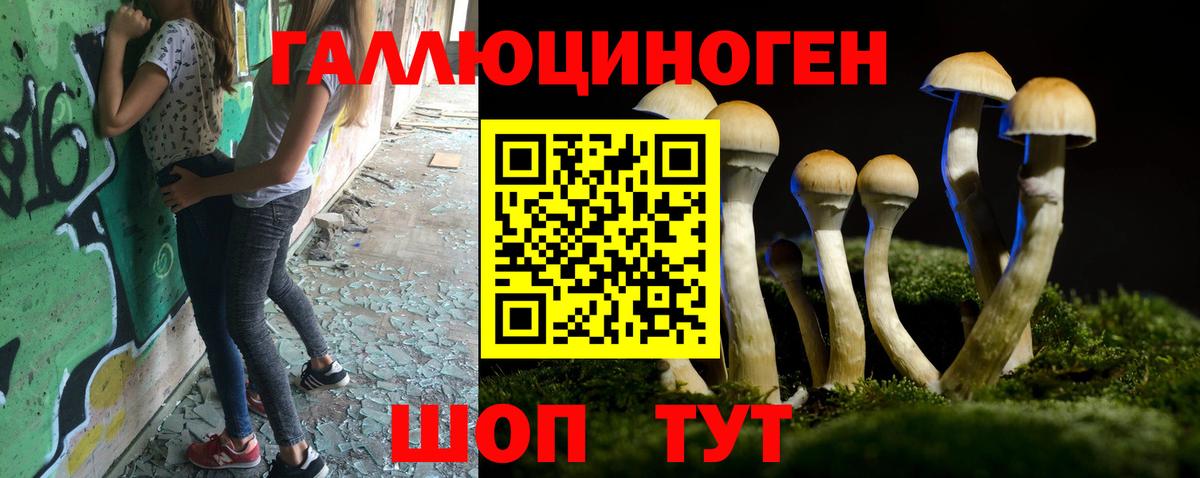 Галлюциногенные грибы Psilocybine cubensis Тосно