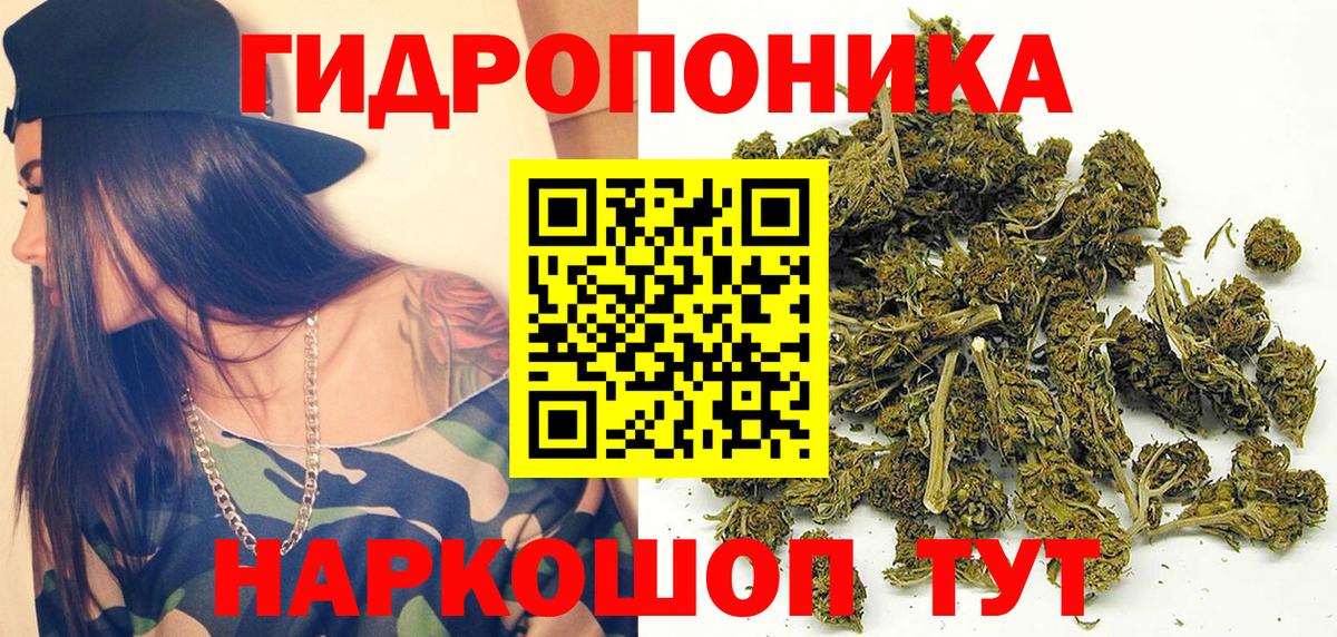 Канабис Ganja Тосно